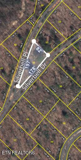 Lot 54 Silverbell DR, Sevierville, TN 37876