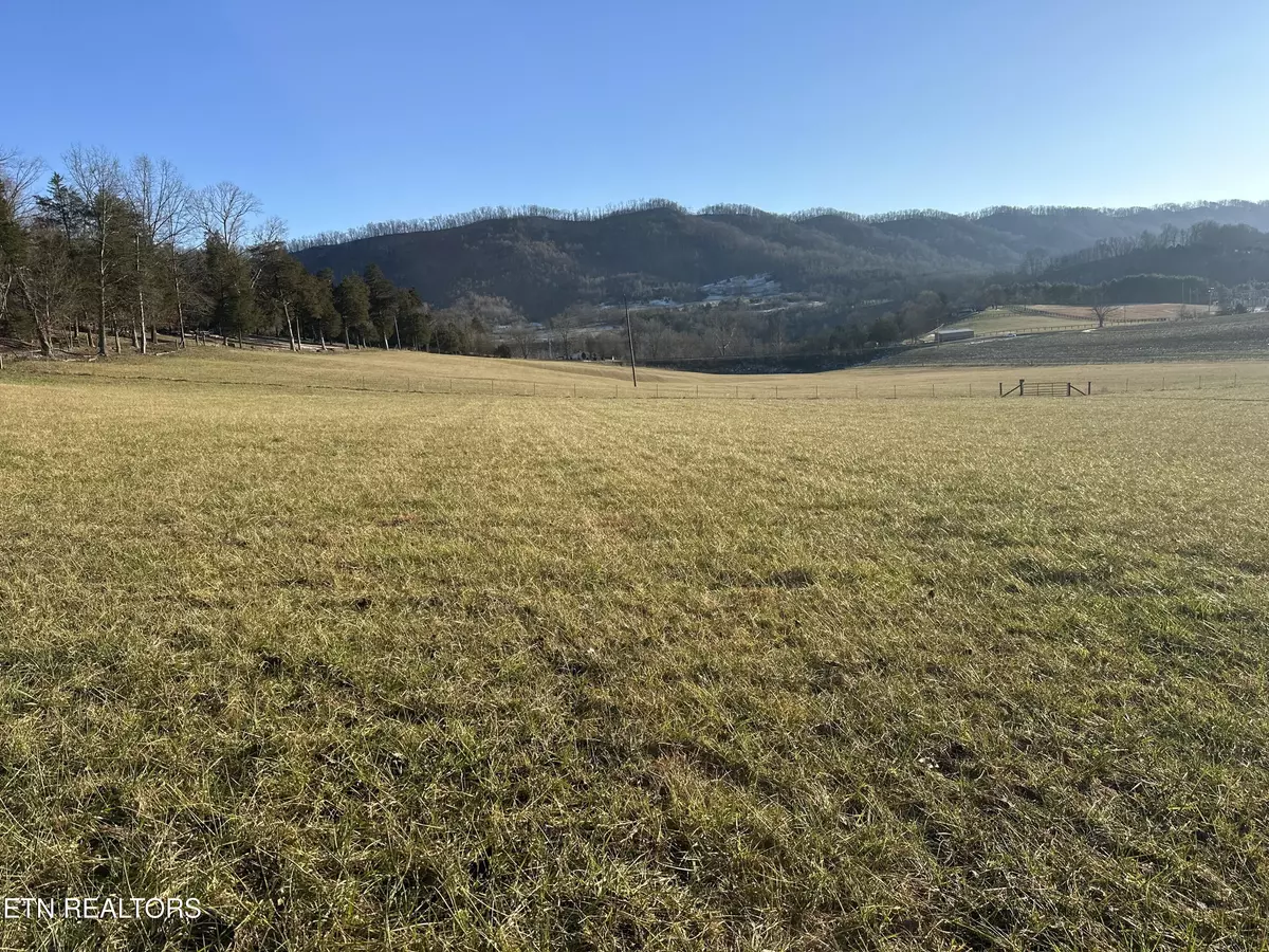 Jonesville, VA 24263,TBD Wilderness Rd