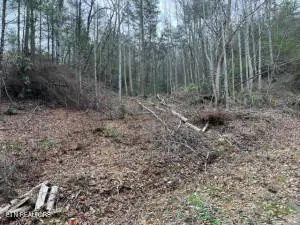 Sevierville, TN 37876,Coy Rhea WAY