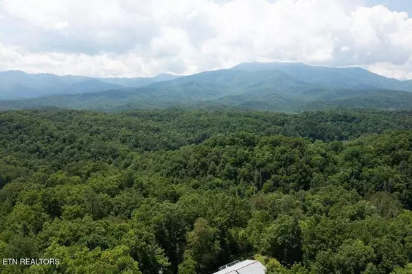 Gatlinburg, TN 37738,Ogle Hills Rd