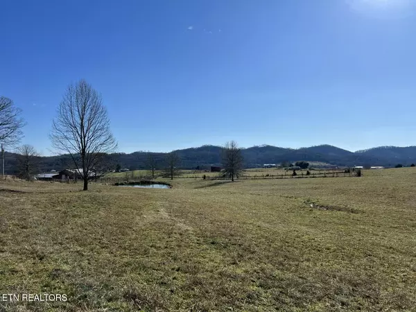 Rutledge, TN 37861,3229 US-11W