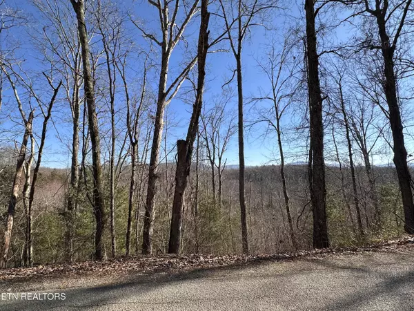 Sunbright, TN 37872,162.45ac Mill Creek Rd