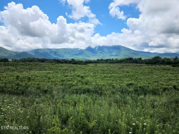 Sevierville, TN 37862,2570 Herb Ownby WAY