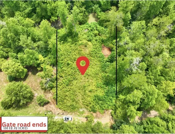 Sevierville, TN 37876,Creek Hollow Way