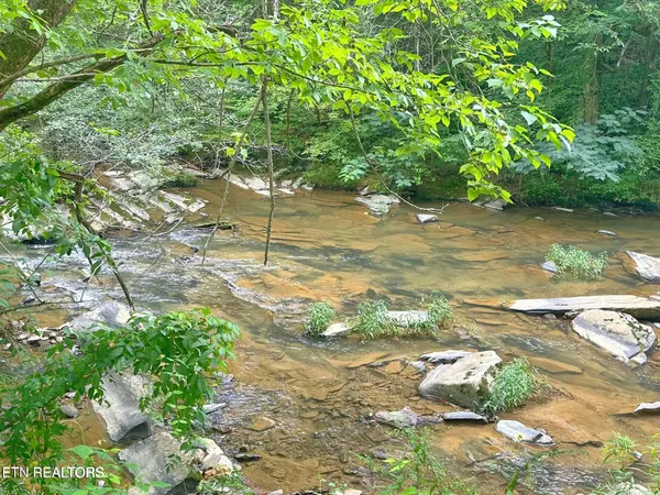 Creek Hollow Way, Sevierville, TN 37876