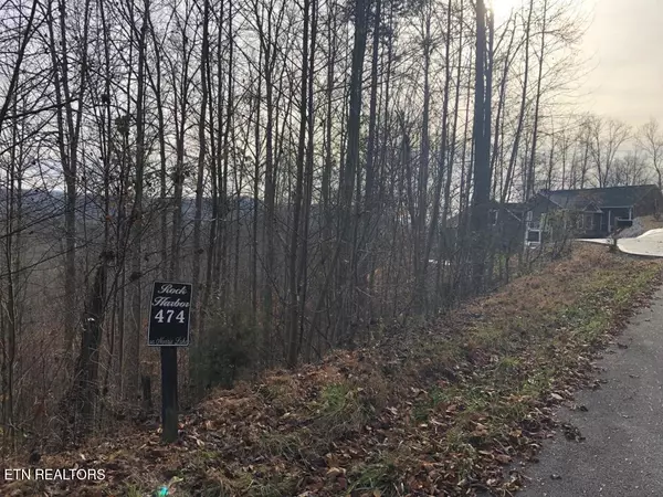 New Tazewell, TN 37825,Silver Tr #Lot 474