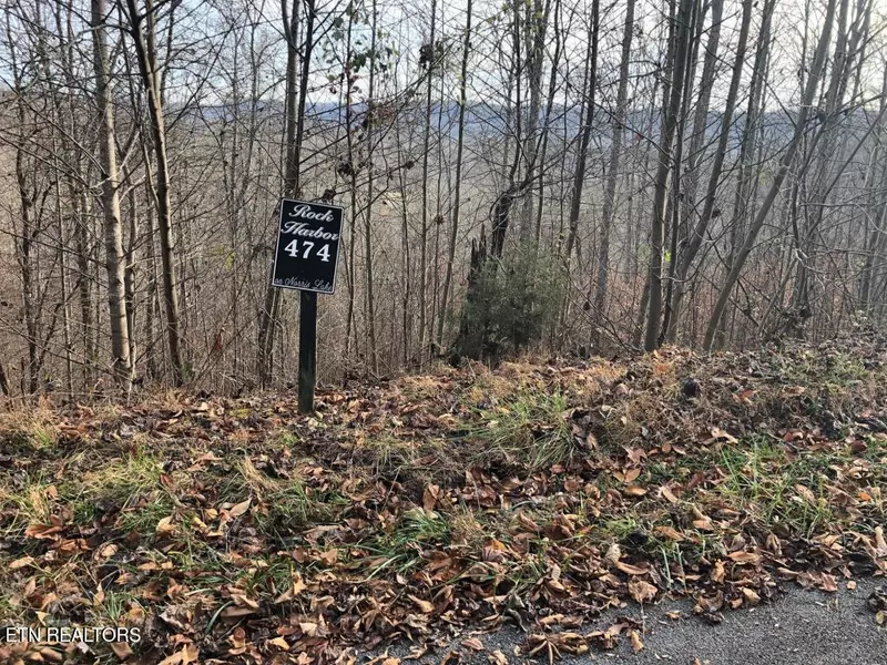 Silver Tr #Lot 474, New Tazewell, TN 37825