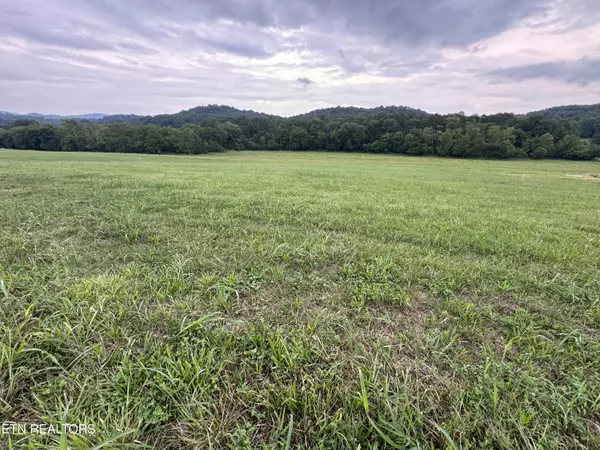 Blaine, TN 37709,3 Rutledge Lot 3 PIKE