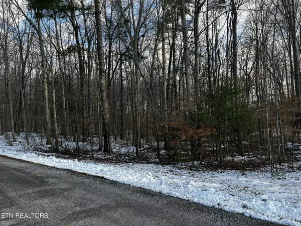 Oneida, TN 37841,Lot 3 Evergreen DR