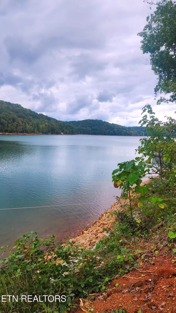 Lafollette, TN 37766,175 lot Waterside LN