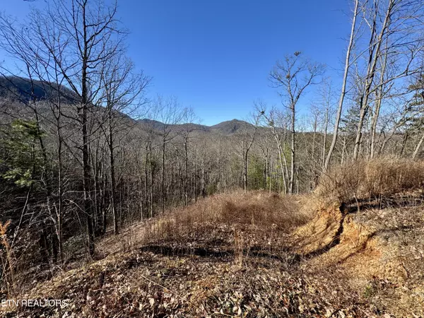 Pigeon Forge, TN 37863,TR 5 Caney Creek (Land only) Rd