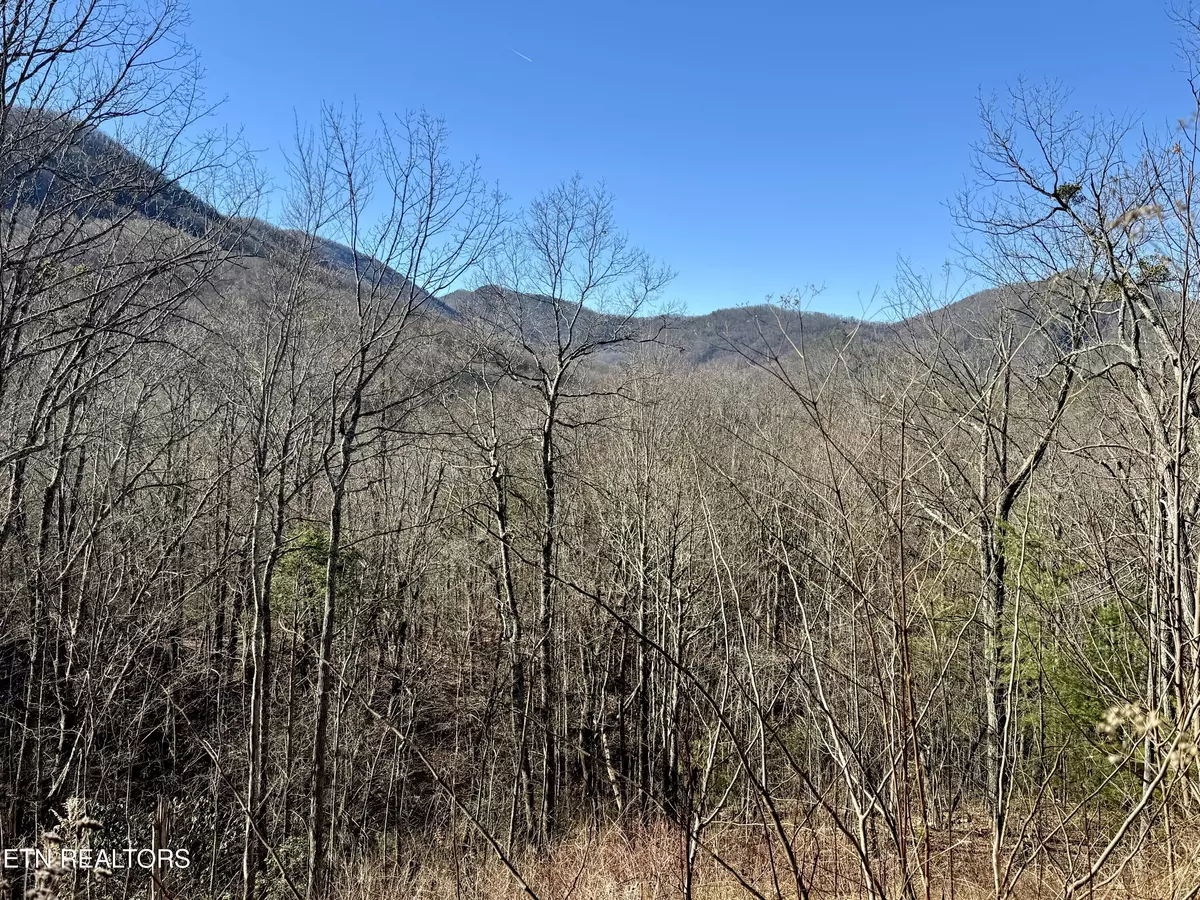 Pigeon Forge, TN 37863,TR 5 Caney Creek (Land only) Rd