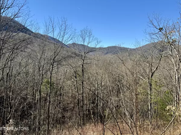 TR 5 Caney Creek (Land only) Rd, Pigeon Forge, TN 37863