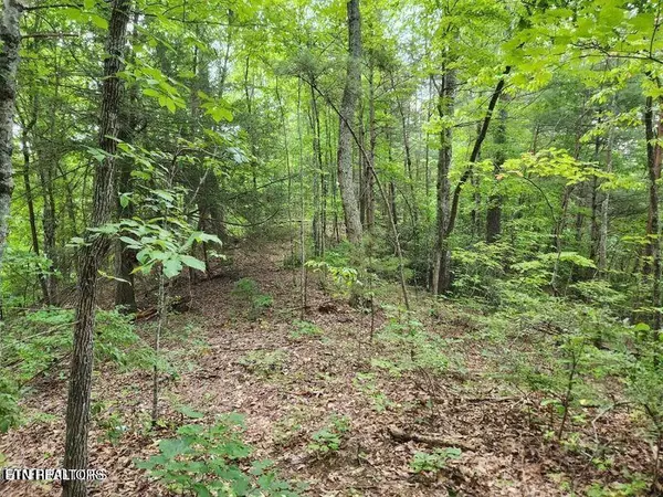 Sevierville, TN 37876,5.69 Acres Pea Hollow Road