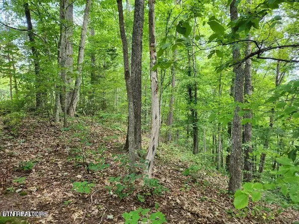 Sevierville, TN 37876,5.69 Acres Pea Hollow Road