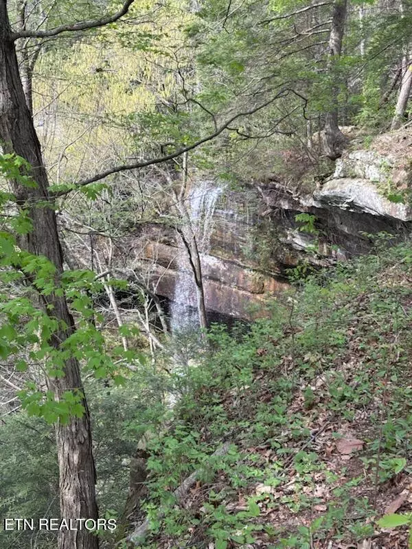 Sparta, TN 38583,0 Star DR