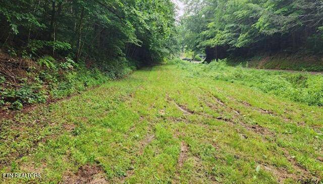 4473 Chavis Rd, Cosby, TN 37722