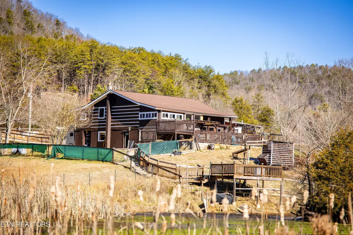 Tellico Plains, TN 37385,1491 Reagan Valley Rd