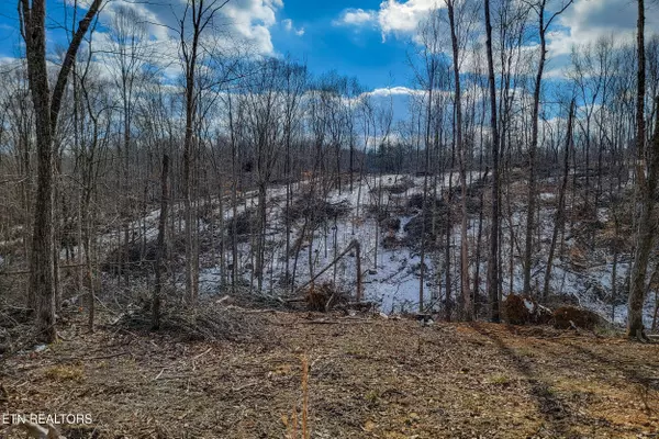 Sparta, TN 38583,5.33 AC Hutchins Bend Rd