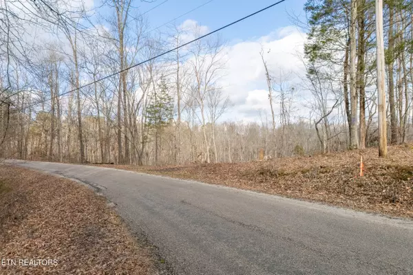 Sparta, TN 38583,5.33 AC Hutchings Bend Rd