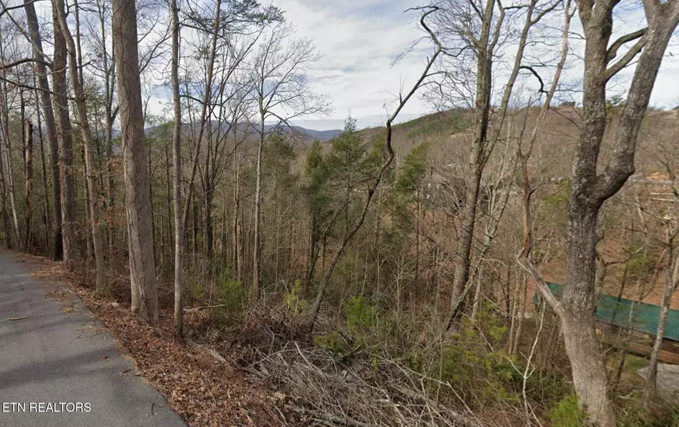 Shady Grove LN, Gatlinburg, TN 37738