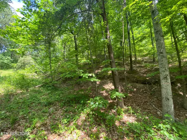 Sevierville, TN 37876,Lot 31 High St