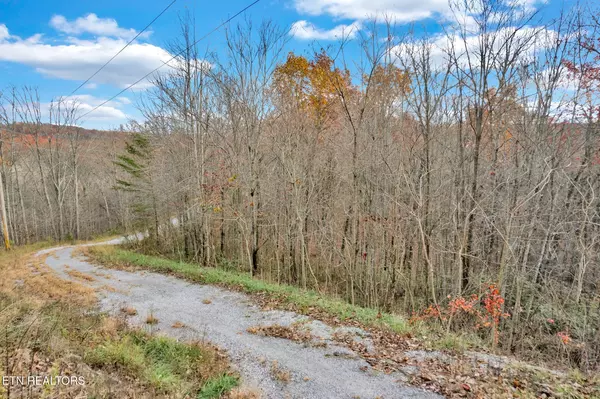 Crawford, TN 38554,0 Homestead LN