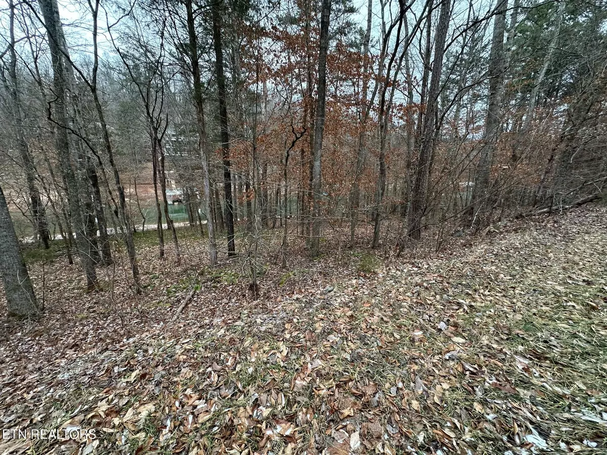 Lafollette, TN 37766,lot 2A Norris Point (082 A 002.00) Rd