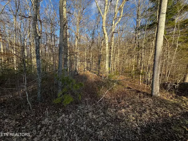 Oneida, TN 37841,Lot 17/18 Evergreen DR