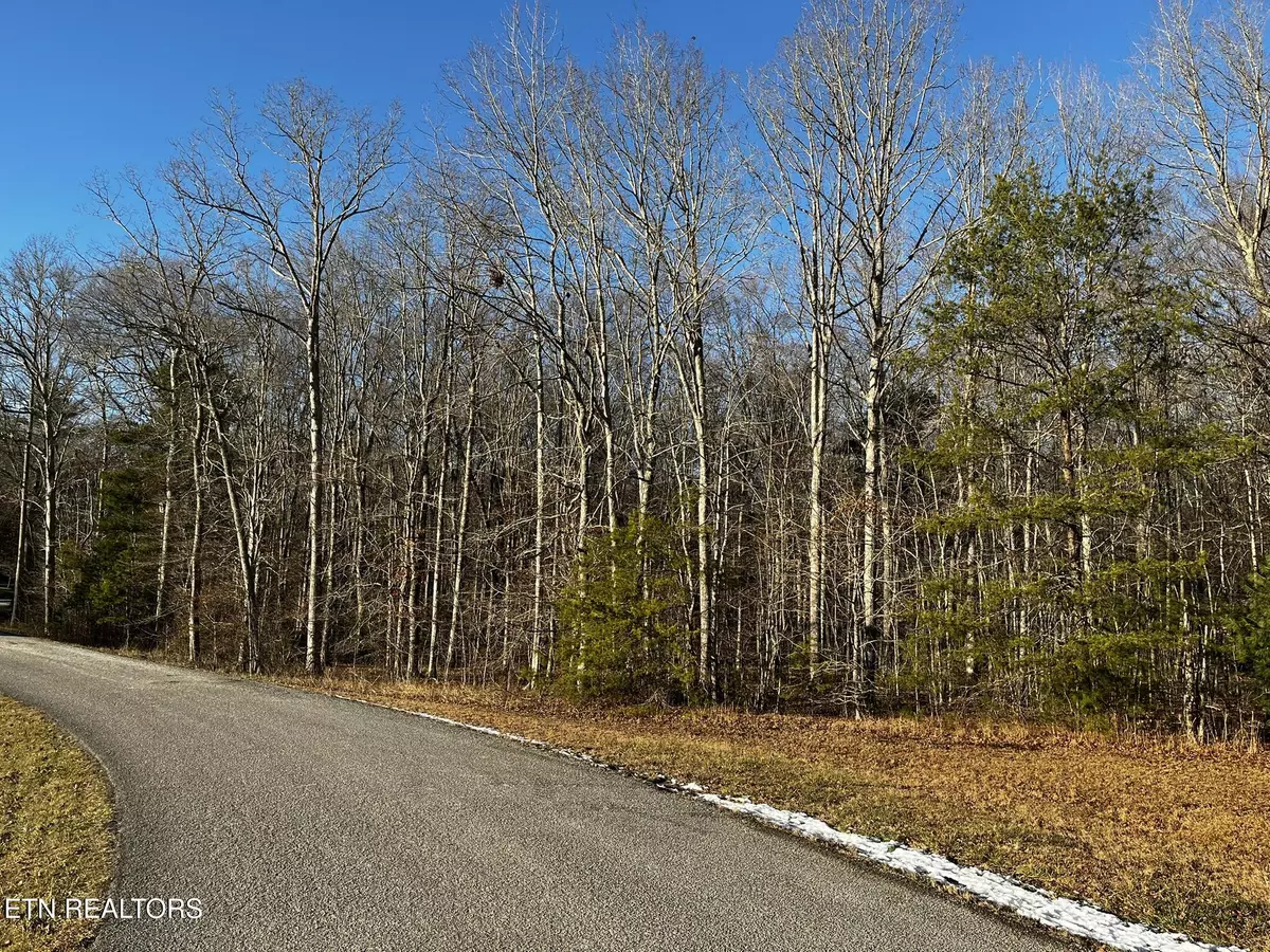 Oneida, TN 37841,Lot 17/18 Evergreen DR