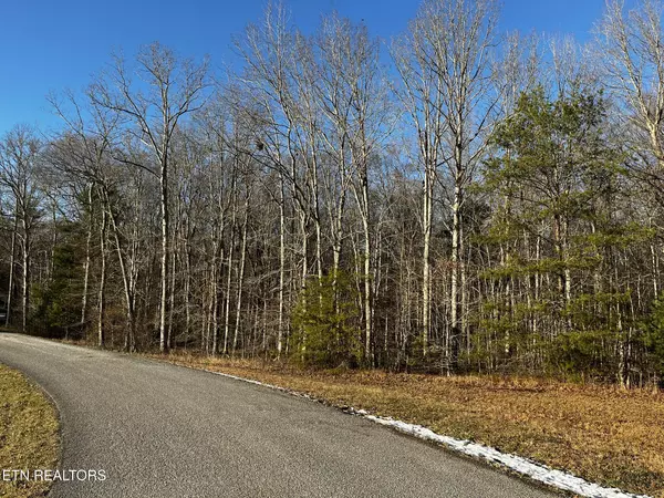 Lot 17/18 Evergreen DR, Oneida, TN 37841