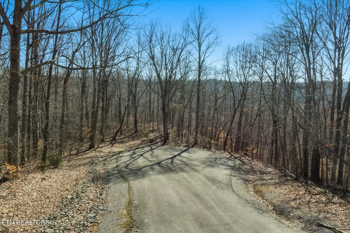 Smithville, TN 37166,259 Randy CT