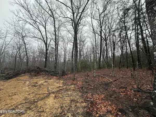 Crawford, TN 38554,229 Paradise