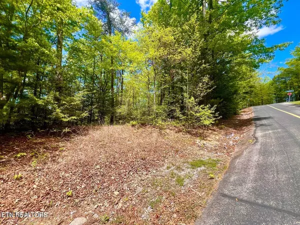 Sevierville, TN 37862,Lot 115 Whetstone Rd