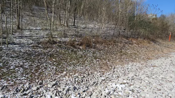 Smithville, TN 37166,0 Bella Grace Drive