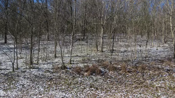 Smithville, TN 37166,0 Bella Grace Drive