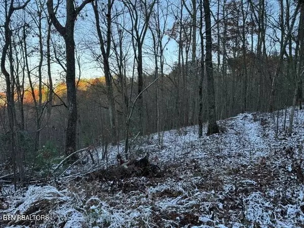 Sevierville, TN 37862,Lot 2 High Ridge WAY