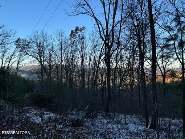 Sevierville, TN 37862,Lot 2 High Ridge WAY