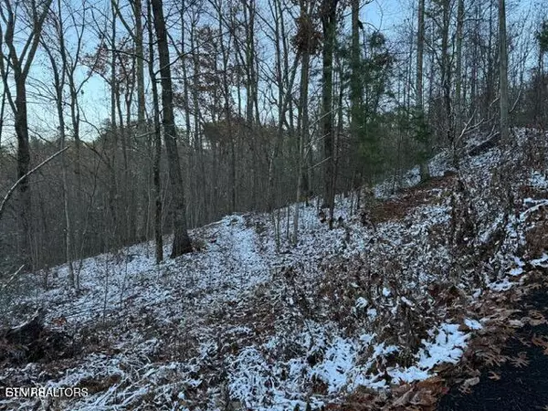 Lot 2 High Ridge WAY, Sevierville, TN 37862