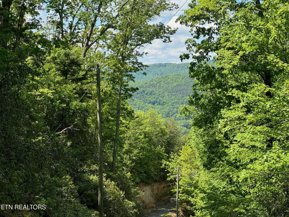 Sevierville, TN 37862,Lot 2 High Ridge WAY