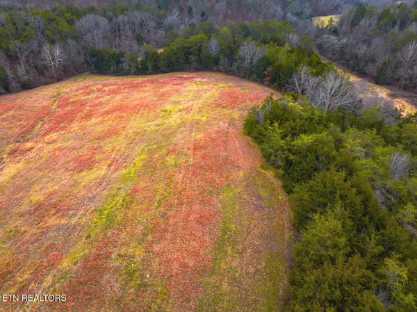 Bybee, TN 37713,Lot 2 Lonesome Pine Rd