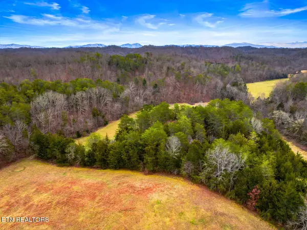 Bybee, TN 37713,Lot 2 Lonesome Pine Rd