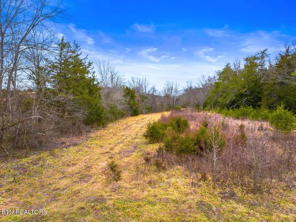 Lot 8 Lonesome Pine Rd, Bybee, TN 37713