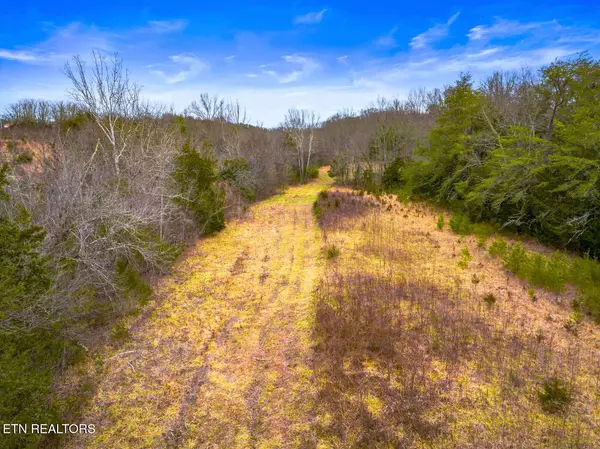 Bybee, TN 37713,Lot 8 Lonesome Pine Rd