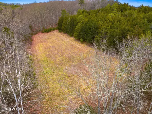 Bybee, TN 37713,Lot 8 Lonesome Pine Rd