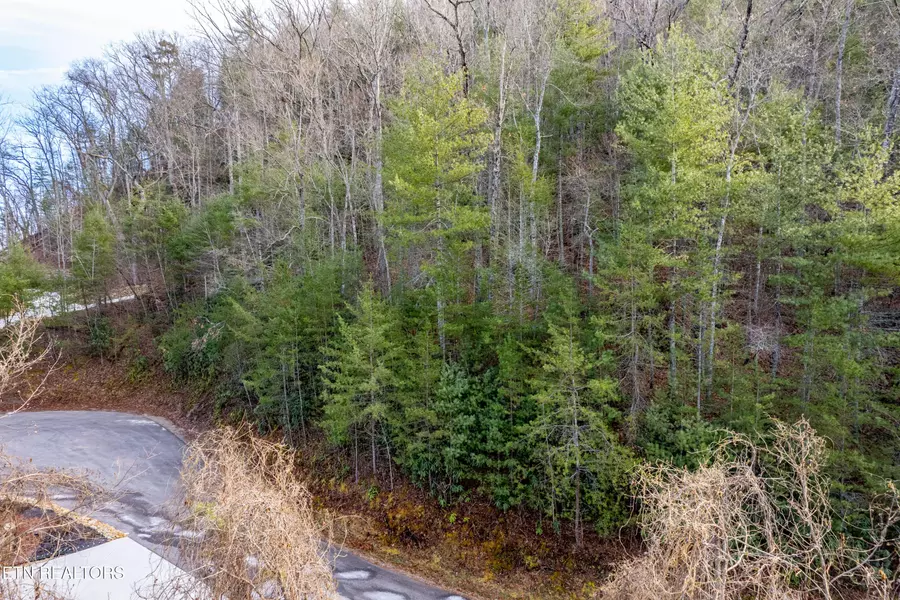 514 Chetola Tr, Townsend, TN 37882