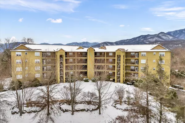 338 Pinnacle View WAY #132, Gatlinburg, TN 37738