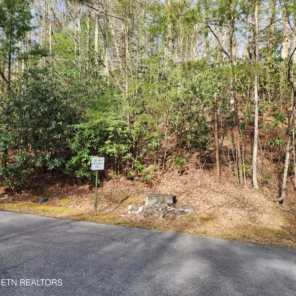 116 Stonegate WAY, Townsend, TN 37882