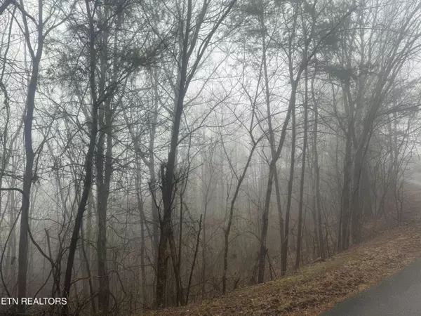 Tellico Plains, TN 37385,286 Highland Bluff