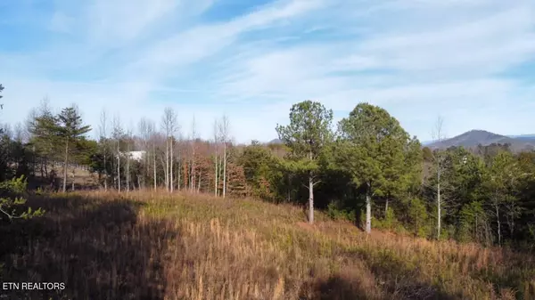 Tellico Plains, TN 37385,0 Curtis Rd